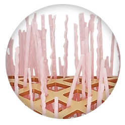 Olivia Garden NanoThermic Ceramic & Ion Round Thermal Limited Edition BCA